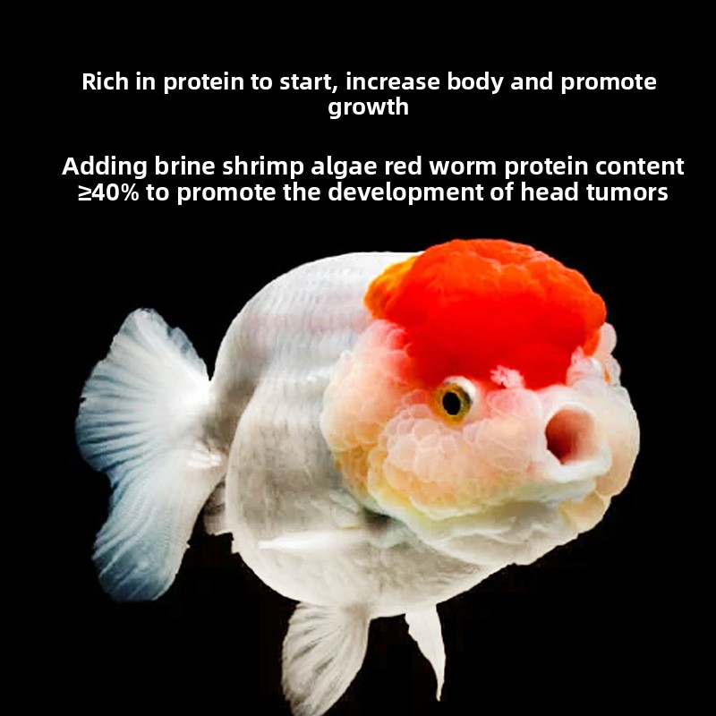 Корм для золотых рыбок Fish Ba – обзор и цена Baby Food High In Protein